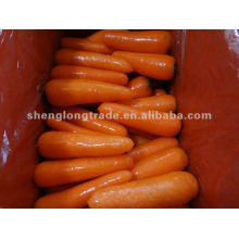 2012 Китай высокого качества свежей моркови